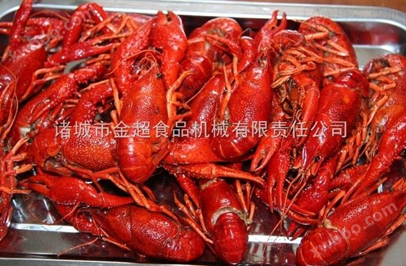 小龙虾连续式板式网带蒸煮机