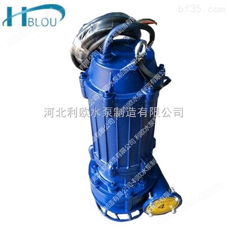 利欧NSQ40-11-5.5立式潜水吸沙泵