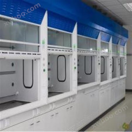环扬化验室定制通风柜 落地式通风橱 工厂加工实验室家具