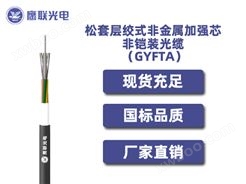 GYFTA，松套层绞式非金属加强芯非铠装光缆 ，室外光缆价格