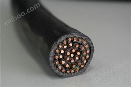 WDZ-KYJYP2-23低烟无卤电缆