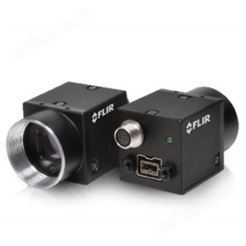 POINT GREY相机FL2-08S2C-C