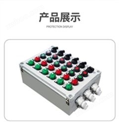BXK51-A8D4K2防爆配电控制箱