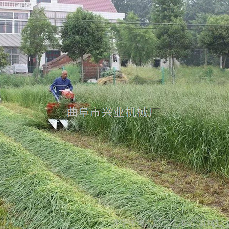 单杠拖拉机带水稻收割机 链条药材收割机视频