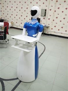 上海租赁服务机器人
