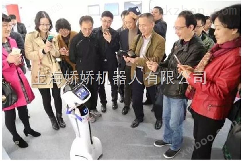 中国zui红机器人出租出售