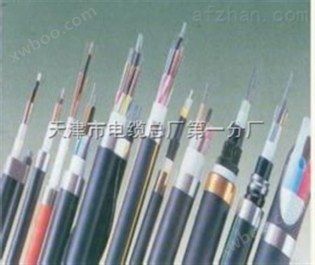 耐高温阻燃电缆ZR-DJFVPRP陕西