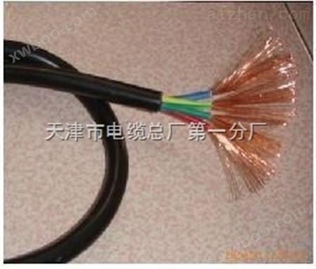 天联 阻燃聚氯乙烯护套软电缆（ZA-RVV）16*1