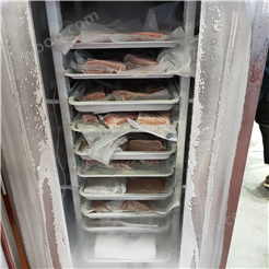 液氮柜式肉类速冻机鸡肉猪肉牛羊肉 制冷机