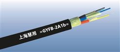 GYFB-2A1b    2芯多模野戰拖曳光纜